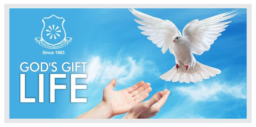 God Gift - Life